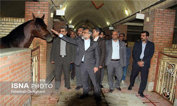 افتتاح یك باشگاه پرورش اسب در میبد + عكس