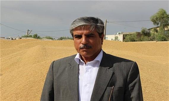 عضویت 12 هزار کشاورز در تعاونی روستایی استان یزد