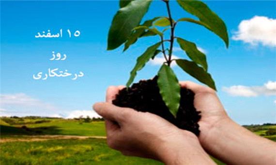 آیین روز درختکاری در یزد برگزار شد