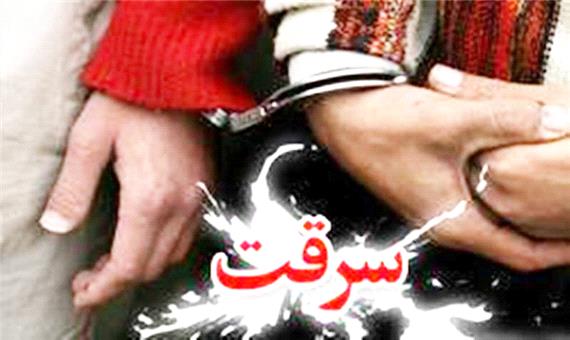 اعتراف متهمان به 42 فقره سرقت در یزد