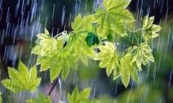 17میلیمتر بارندگی در اسفند آباد ابرکوه ثبت شد