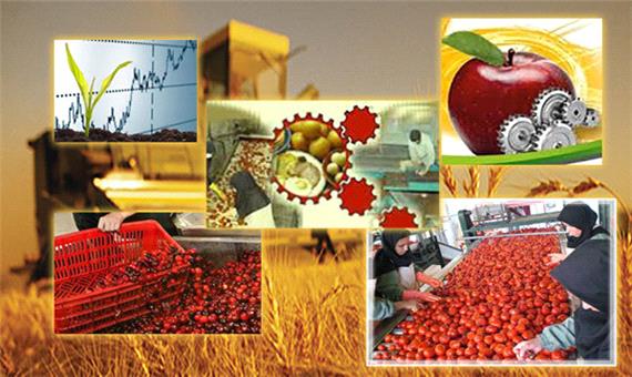 افزایش سه برابری ظرفیت تولید واحدهای صنایع تبدیلی و تکمیلی کشاورزی یزد