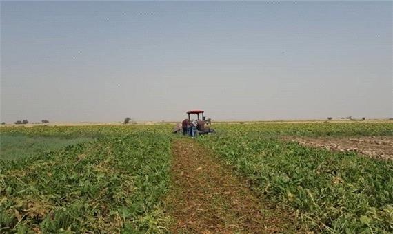حرکت دامداران و کشاورزان یزد برای تامین ارزاق مردم جهادی است
