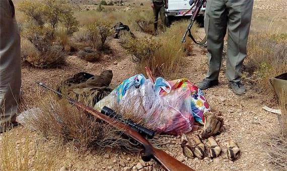 شکارچیان حیوانات نادر در تفت دستگیر شدند