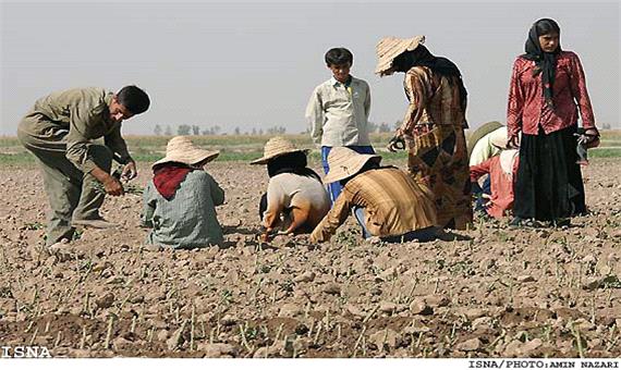 10 درصدی بیکاران استان یزد در روستاها هستند