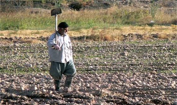 22 هزار روستایی یزد زیر پوشش صندوق بیمه کشاورزی قرار دارند