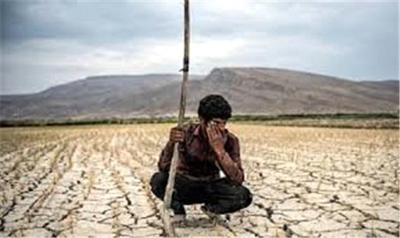 قطب کشاورزی یزد چشم‌انتظار جبران خسارت خشکسالی