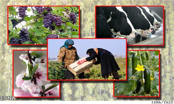 ساماندهی و تقویت تعاونی‌های کشاورزی  در دستور کار تعاون روستایی یزد