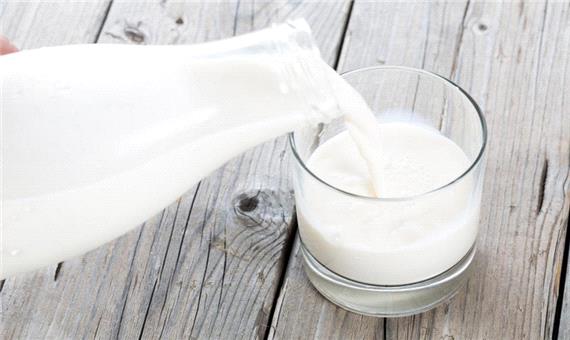 416 تن شیر مازاد بر نیاز یزد در استان‌های همجوار مصرف می‌شود