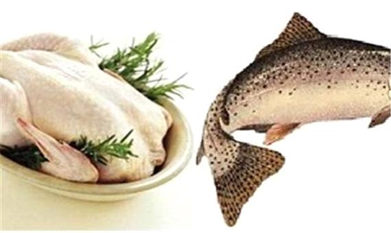 آخرین تحولات بازار مرغ و ماهی
