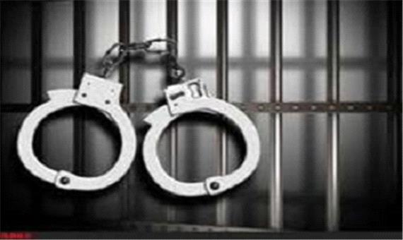 زن اختلاسگر شیرازی دستگیر شد