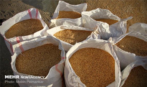 تولیدی‌های آرد یزد برای تامین آرد با سبوس استاندارد اقدام کنند