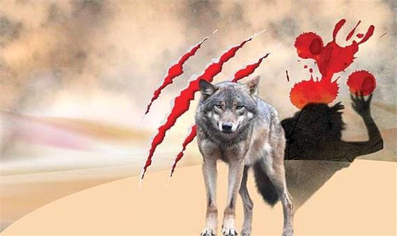 محیط زیست یزد: حمله گرگ، علت مرگ کودک میبدی نیست