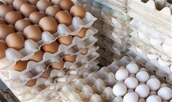 بی‌اطلاعی از عرضه تخم‌مرغ 13 هزار تومانی