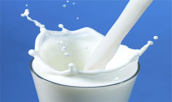 تولید سالانه 76553 تن شیر در یزد