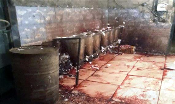 پلمپ یک کشتارگاه بوقلمون و معدوم‏‏سازی 240 قطعه مرغ غیرمجاز در یزد
