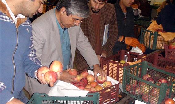 یزد مبداء توزیع ‌سیب تنظیم بازار استان‌های جنوبی کشور