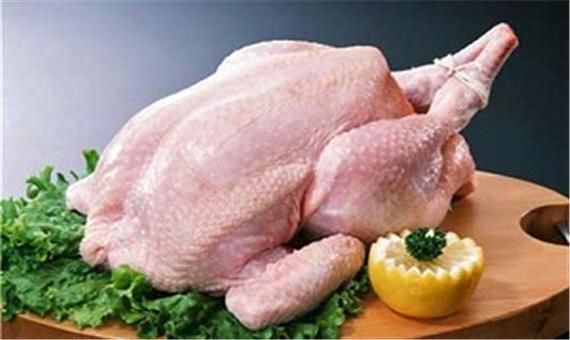 چرا ناگهان مرغ گران شد؟