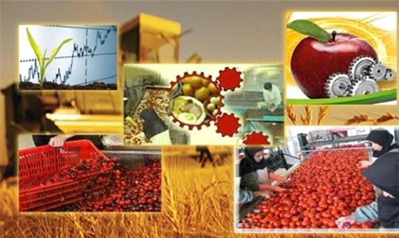 افزایش 2برابری صنایع کشاورزی در یزد/ایجاد شغل برای 5 هزار نفر