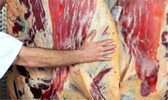 استانداری تهران: نحوه توزیع گوشت درست نیست