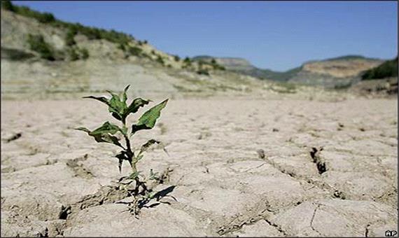 نوسانات بارشی عامل ورشکستگی کشاورزان یزدی