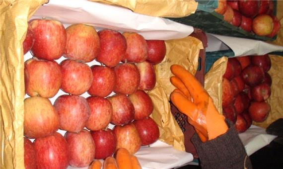 70 درصد میوه تنظیم بازار شب عید یزد ذخیره شد