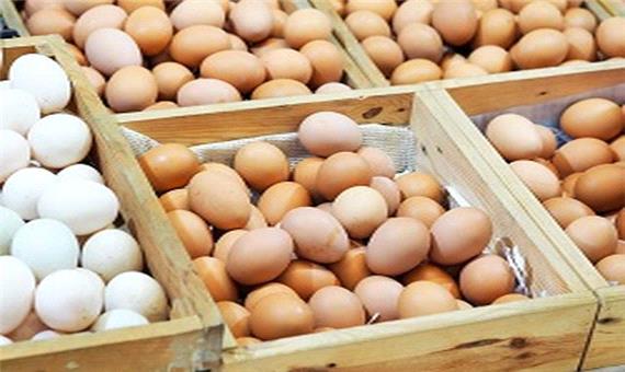 هشدار معاون سلامت دامپزشکی یزد در مورد تخم‌مرغ‌های رنگی