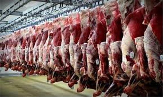مشكل تامین گوشت قرمز در استان نداریم