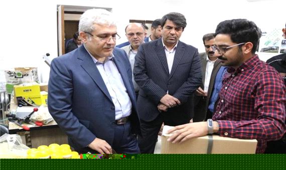 بازدید معاون رئیس جمهوری از چهار مرکز نوآوری و فناوری یزد