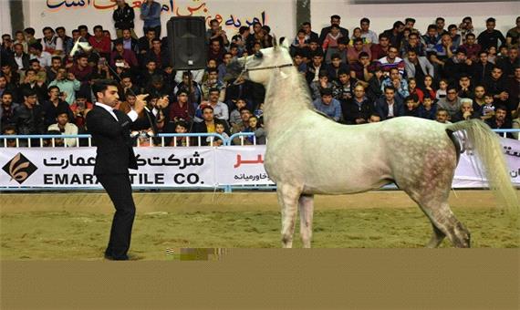 اولین همایش گردشگری اسب در یزد برگزار می‌شود