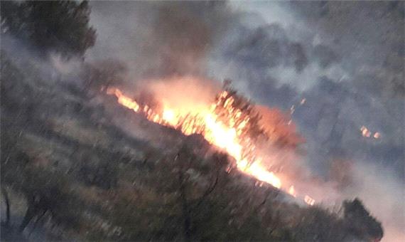 غفلت طبیعت‌گردان 2 هکتار از مراتع بنادک سادات را به آتش کشید