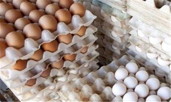 آغاز توزیع تخم‌ مرغ با نرخ مصوب در کشور