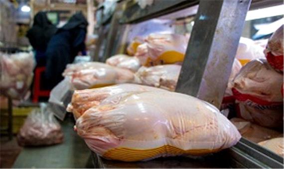 زمان عرضه گسترده مرغ گرم در تهران اعلام شد